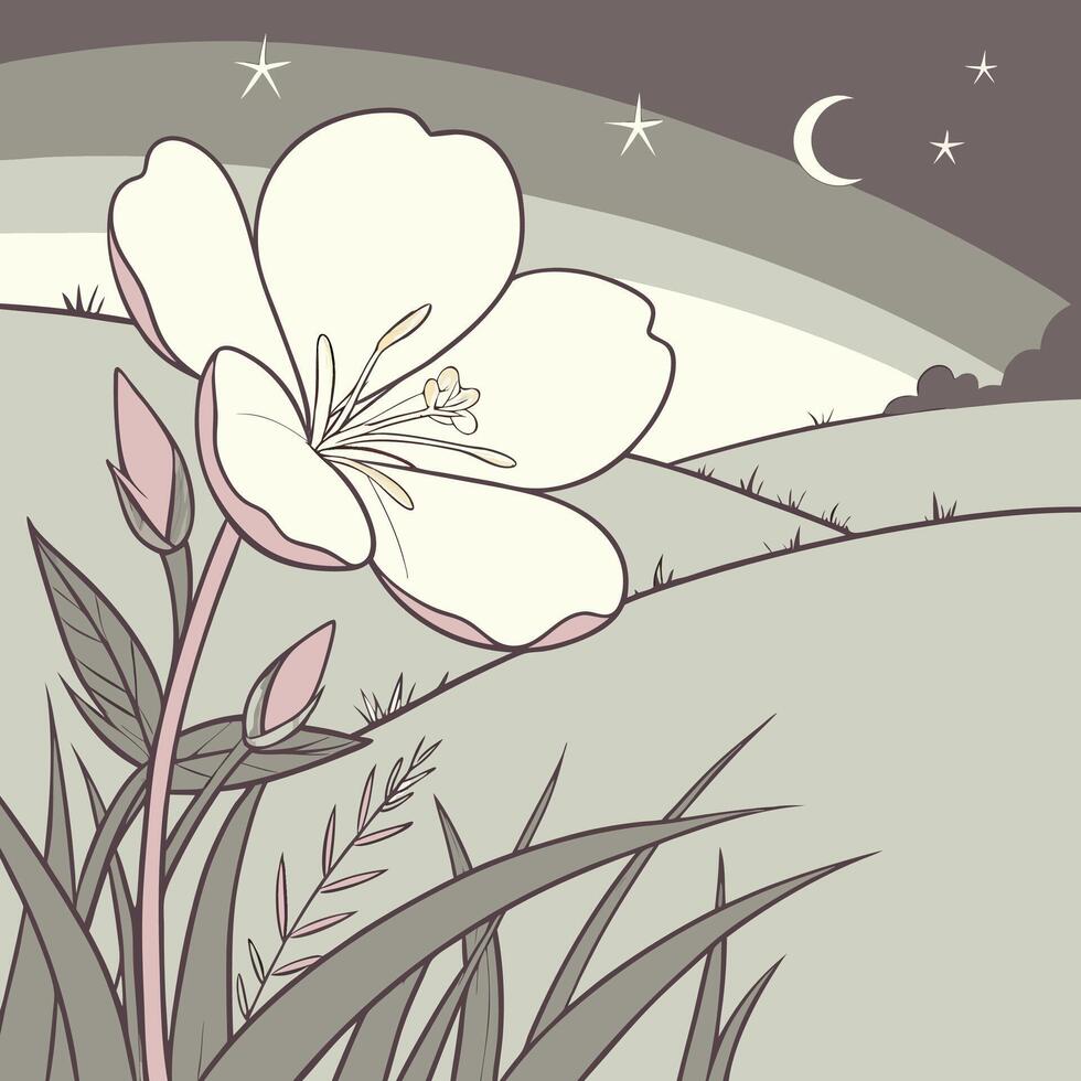 The illustration of evening primrose flower vector