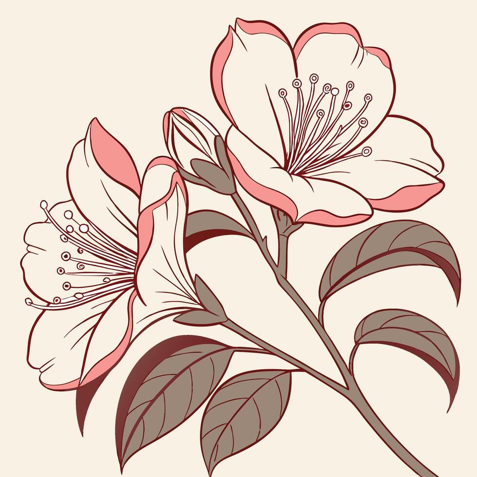 The illustration of camellia flower vector