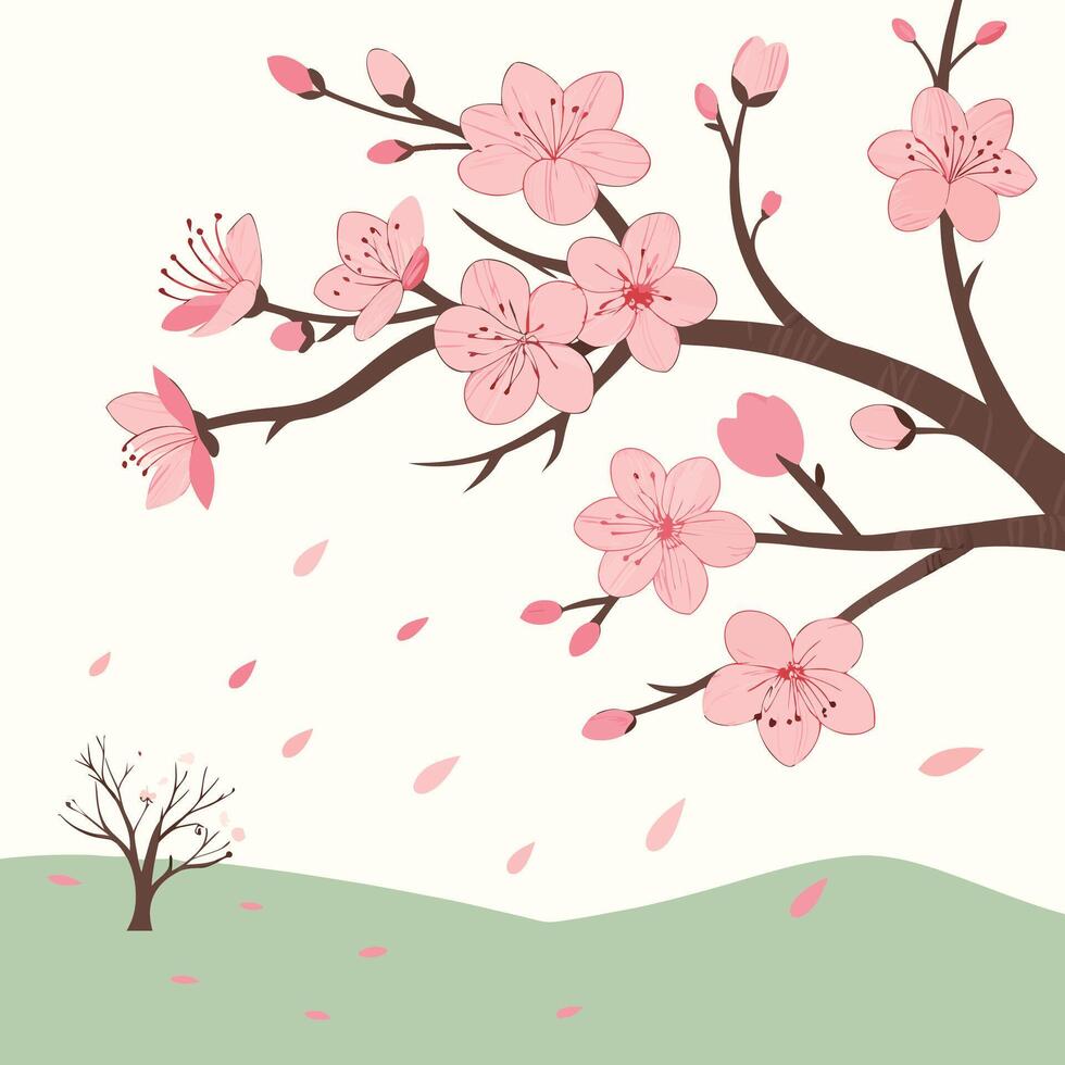 The illustration of cherry blossom flower vector