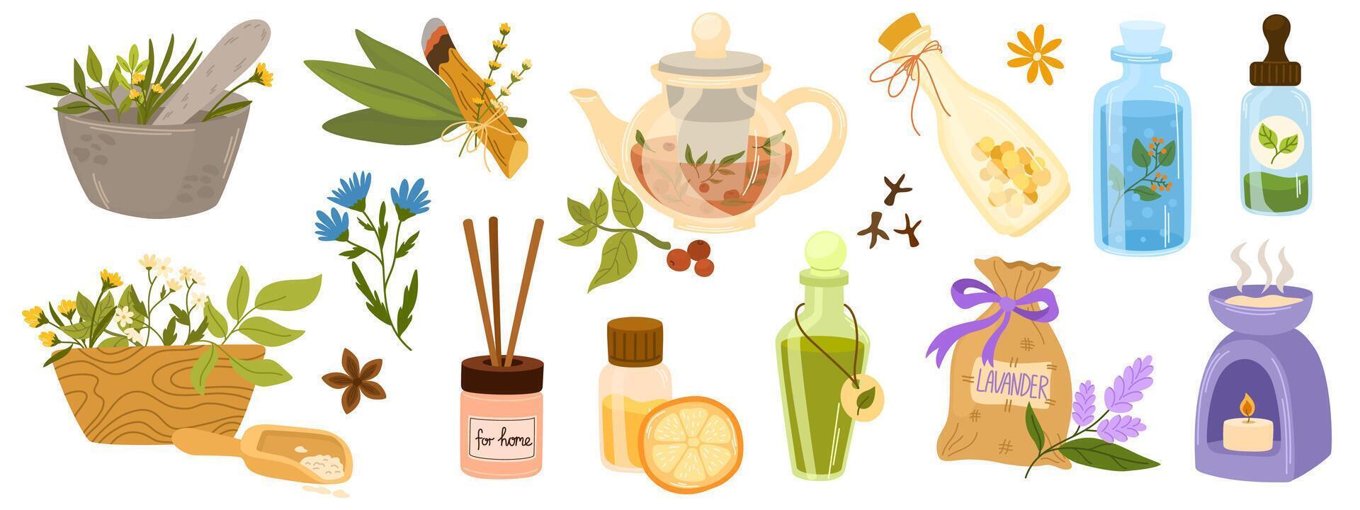 Homeopathy, aromatherapy, natural traditional medicine set. Herbs, herbal tea, homeopathic naturopathic essentials, healing plants, wildflowers. Health and self-care concept. Illustration. vector
