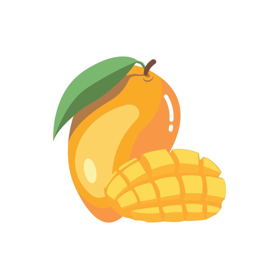 Mango fruit and cut mango fruit illustration isolated on white background. vector
