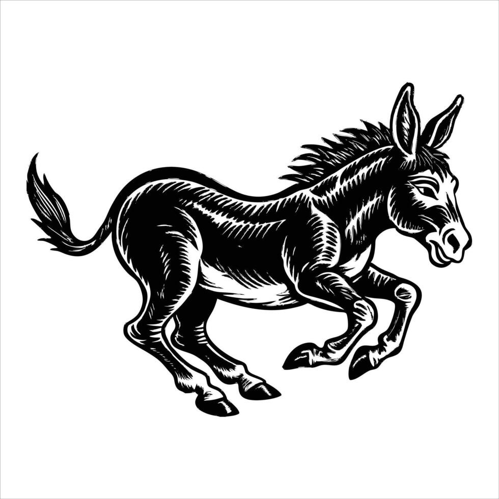 An alpaca on white background. vector