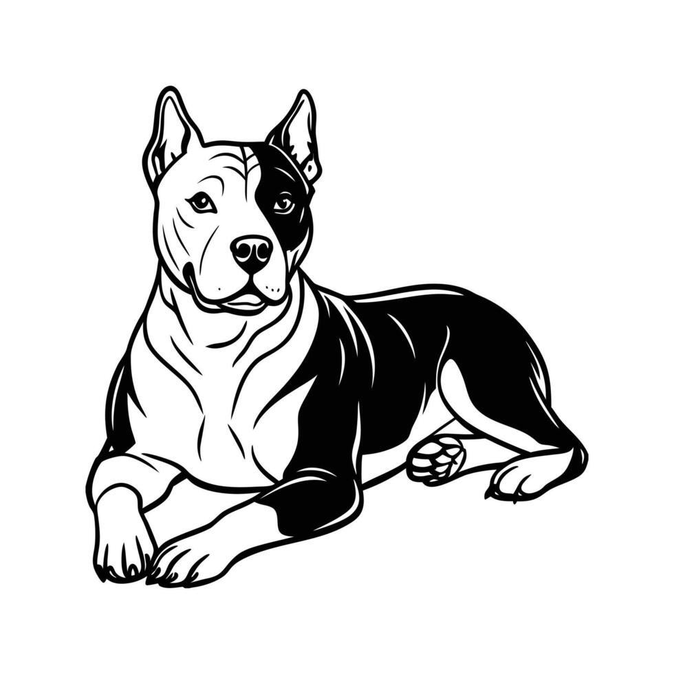 American Terriers Sitting Images. vector