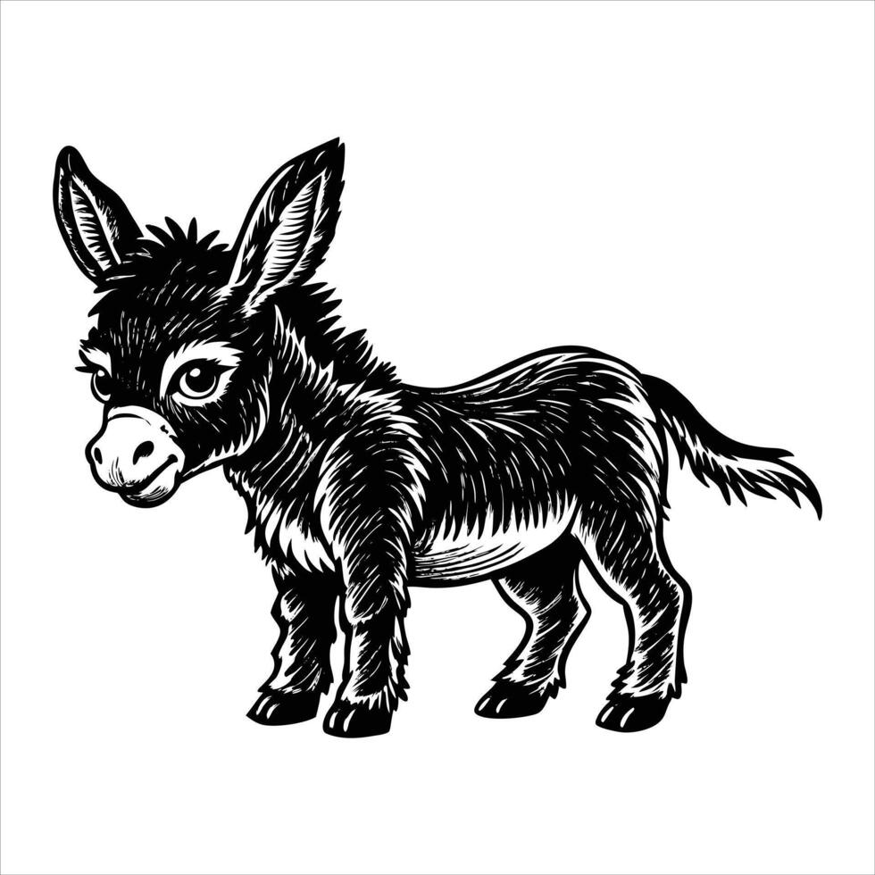 Adorable begging donkey foal in Custer State Park vector