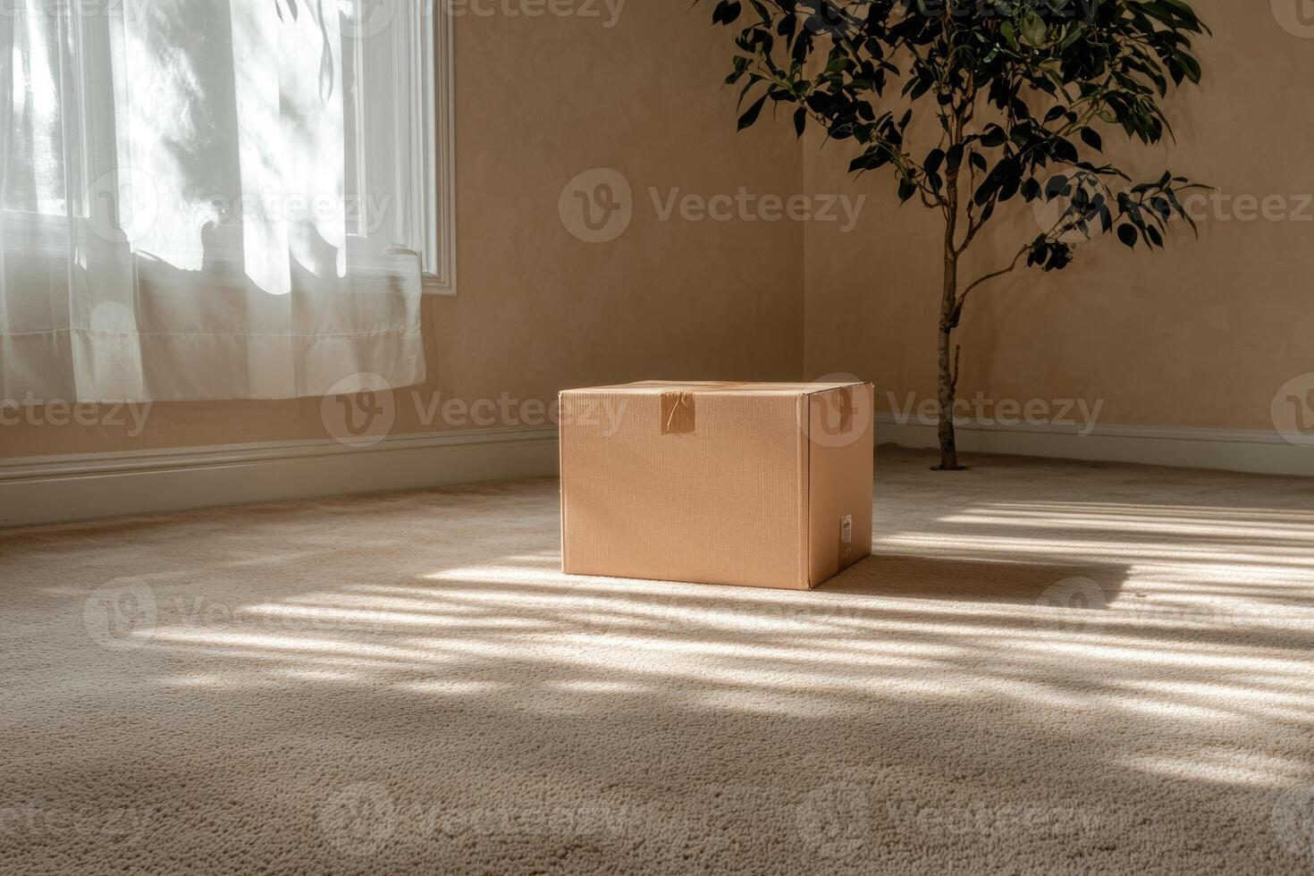 Empty cardboard box on carpeted floor in sunlit room photo