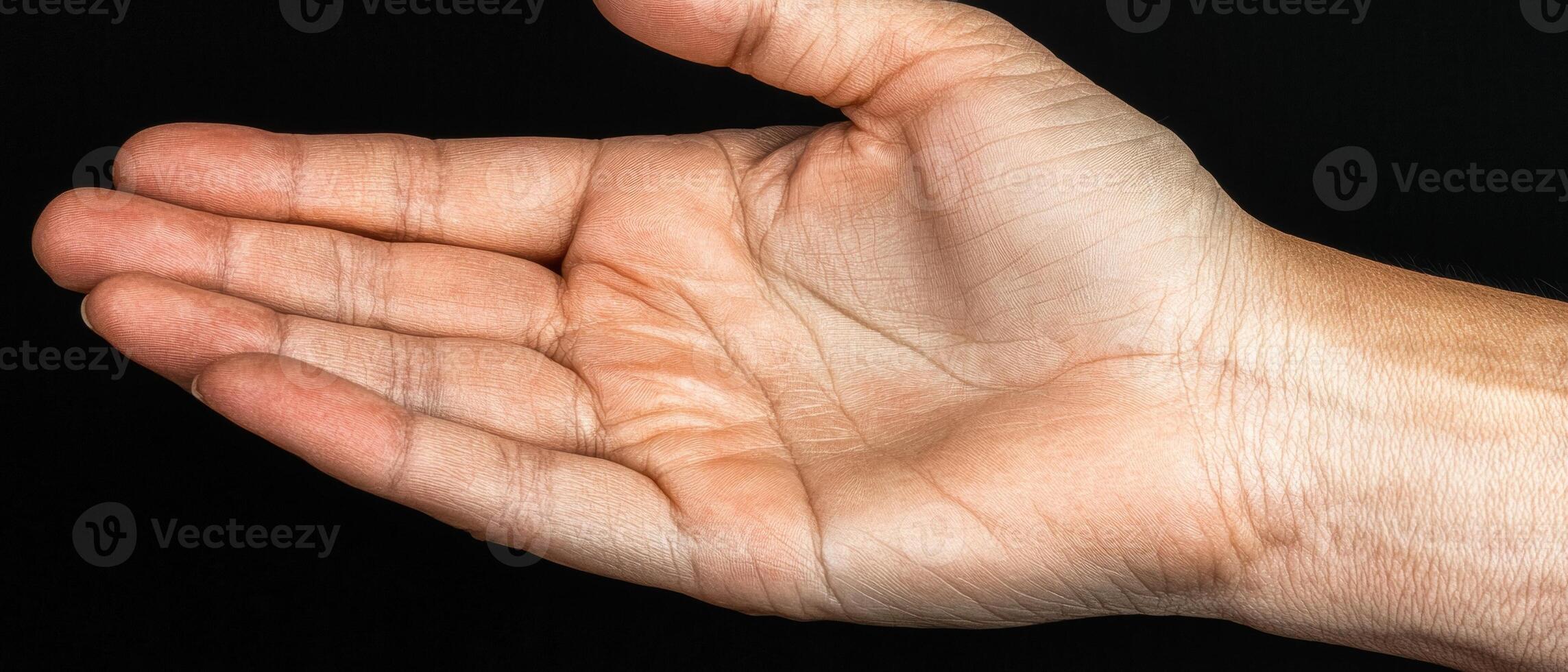 Close up of a persons hand with detailed wrinkles and skin texture photo
