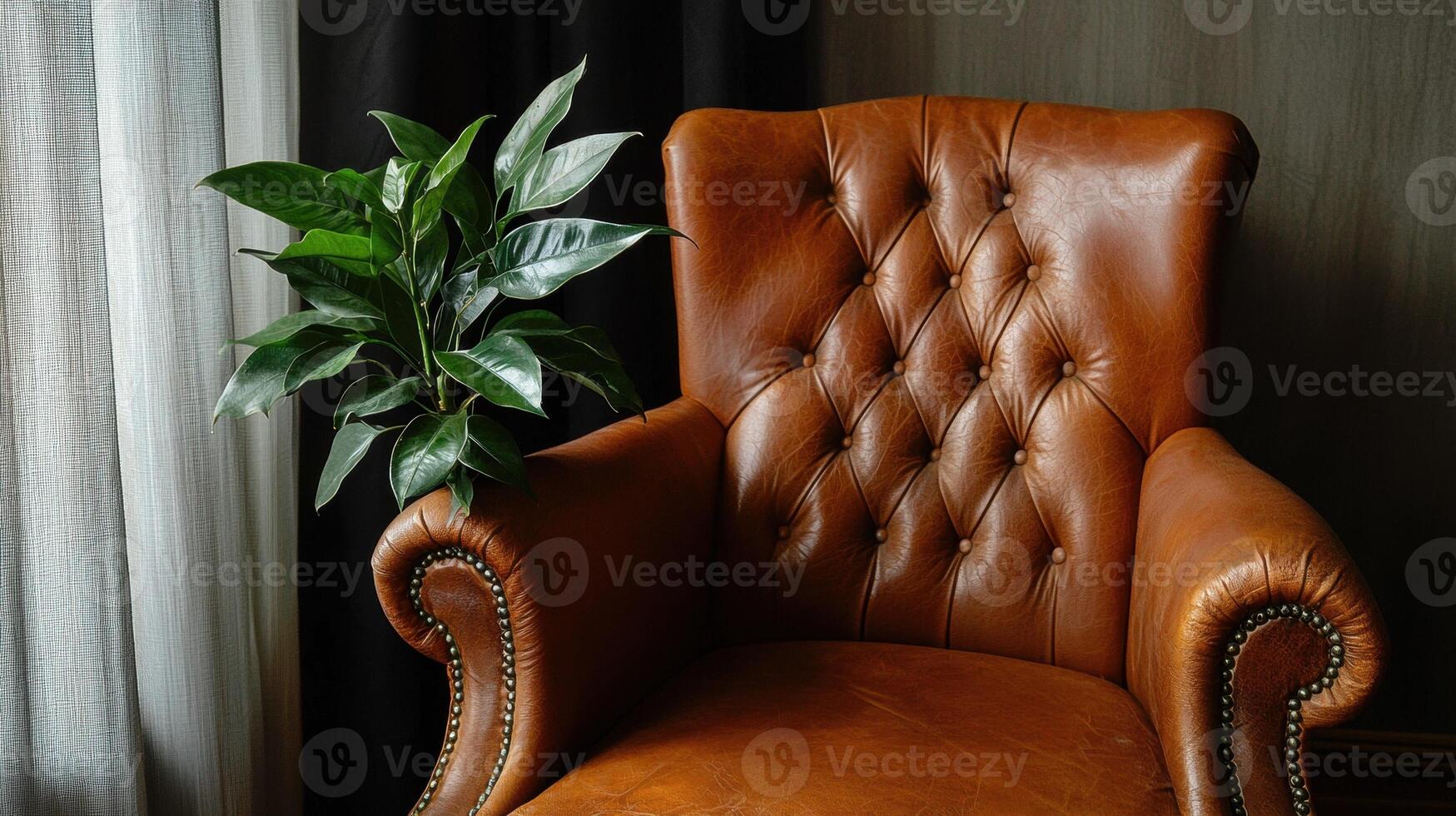 Brown leather armchair with a green plant next to a window photo