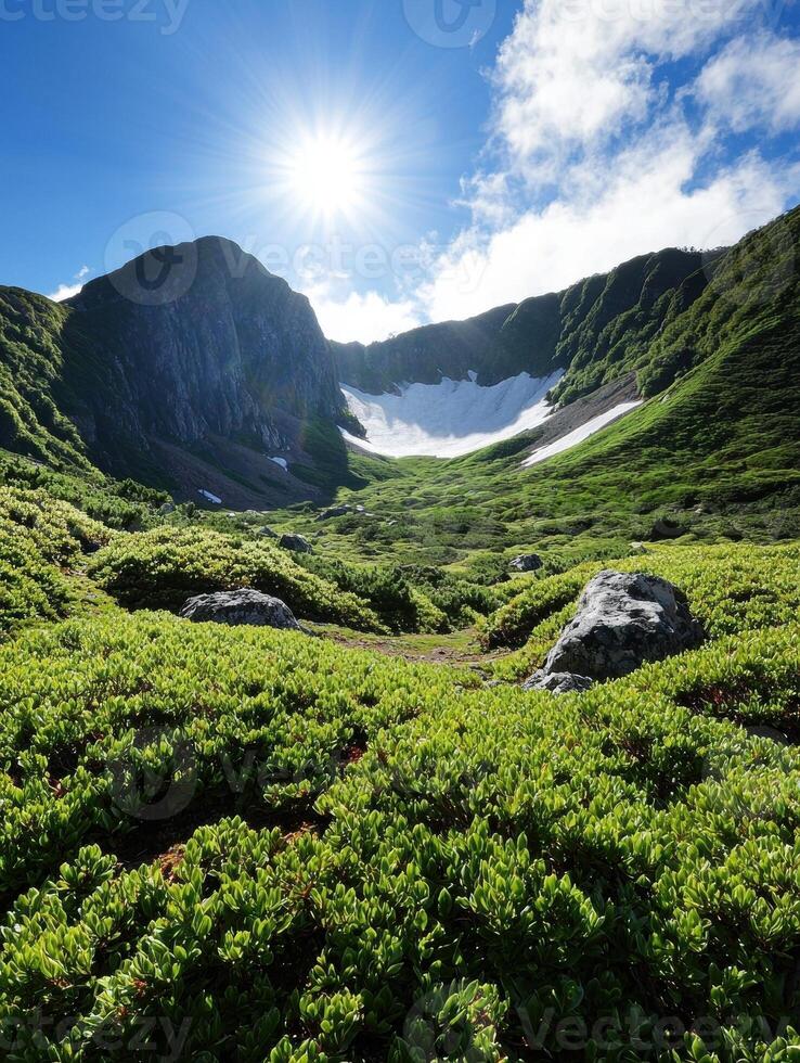 Majestic mountain landscape with snow capped peaks and lush green valley photo