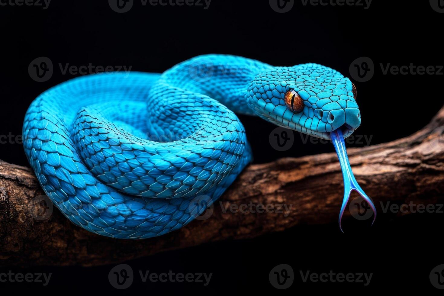 A blue snake with a long tail on a branch photo