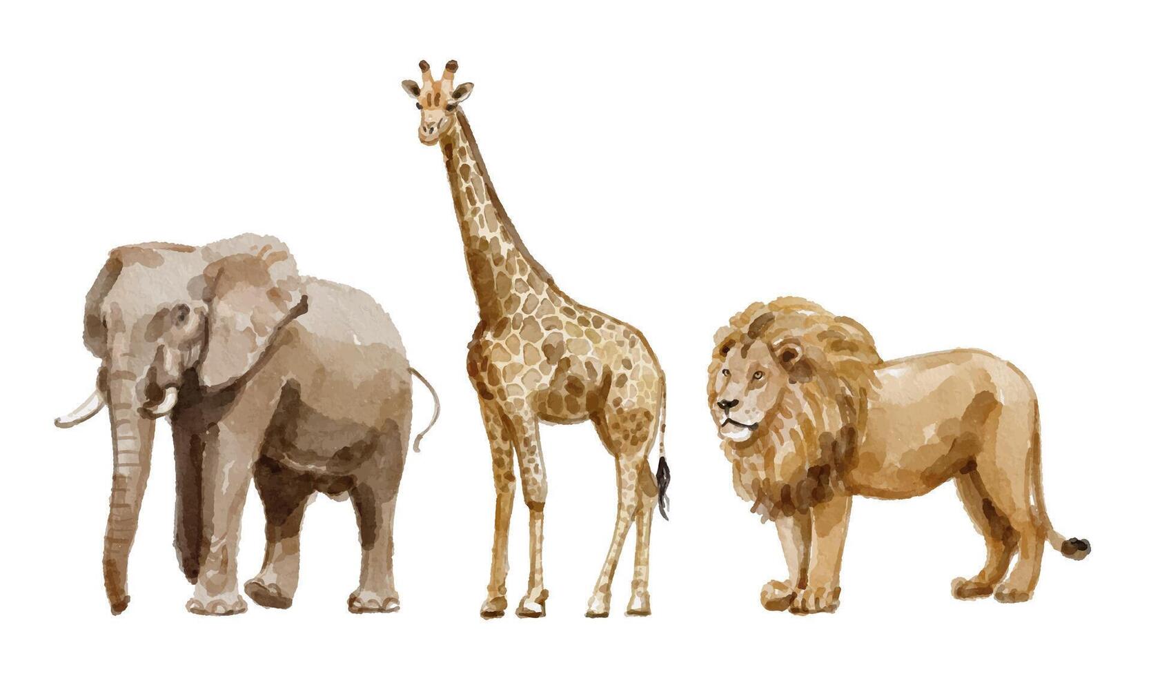 Watercolor set with elephant, giraffe, lion for logo, invitations and more vector