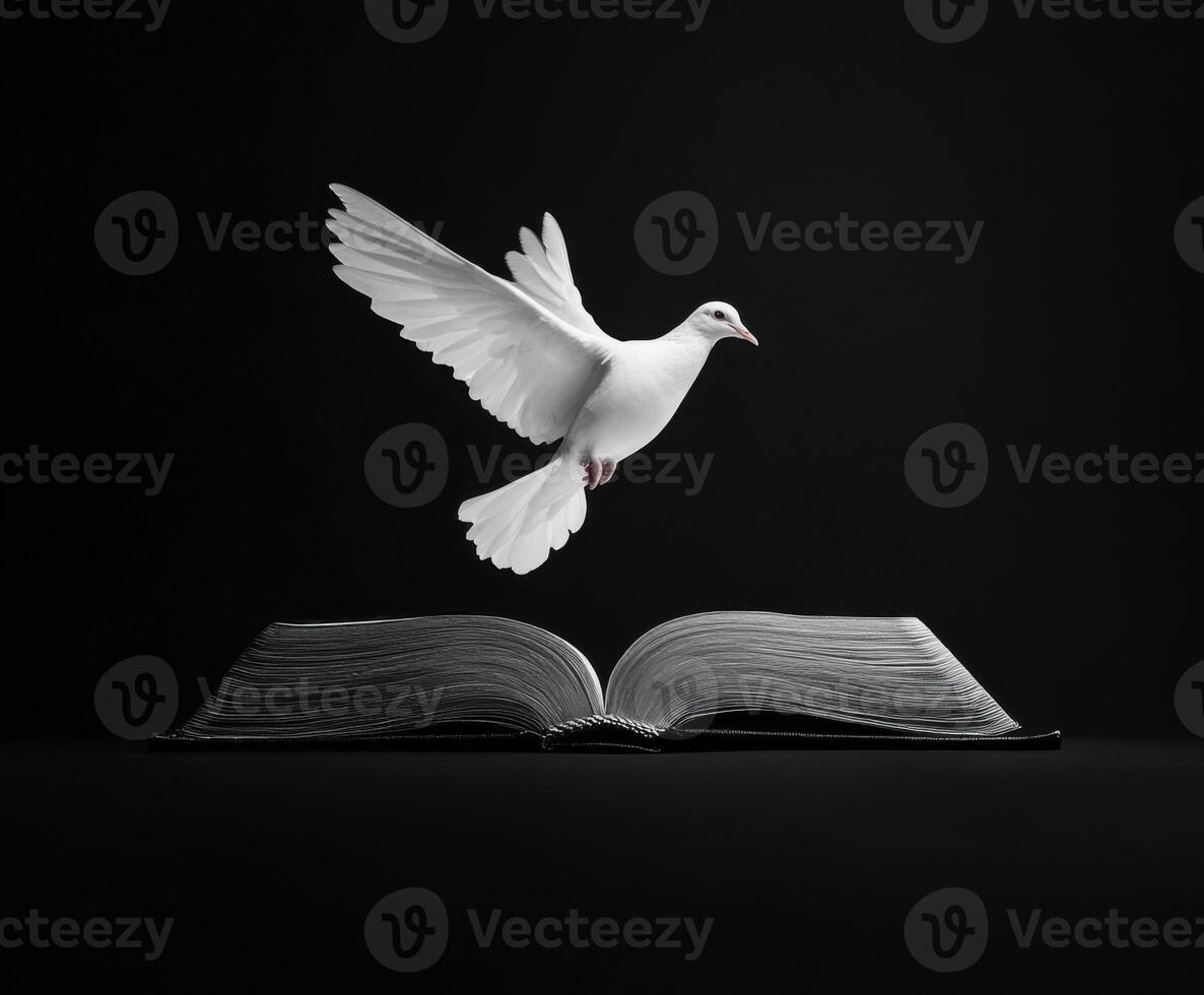A white dove takes flight above an open book in a striking black backdrop highlighting themes of knowledge and freedom photo
