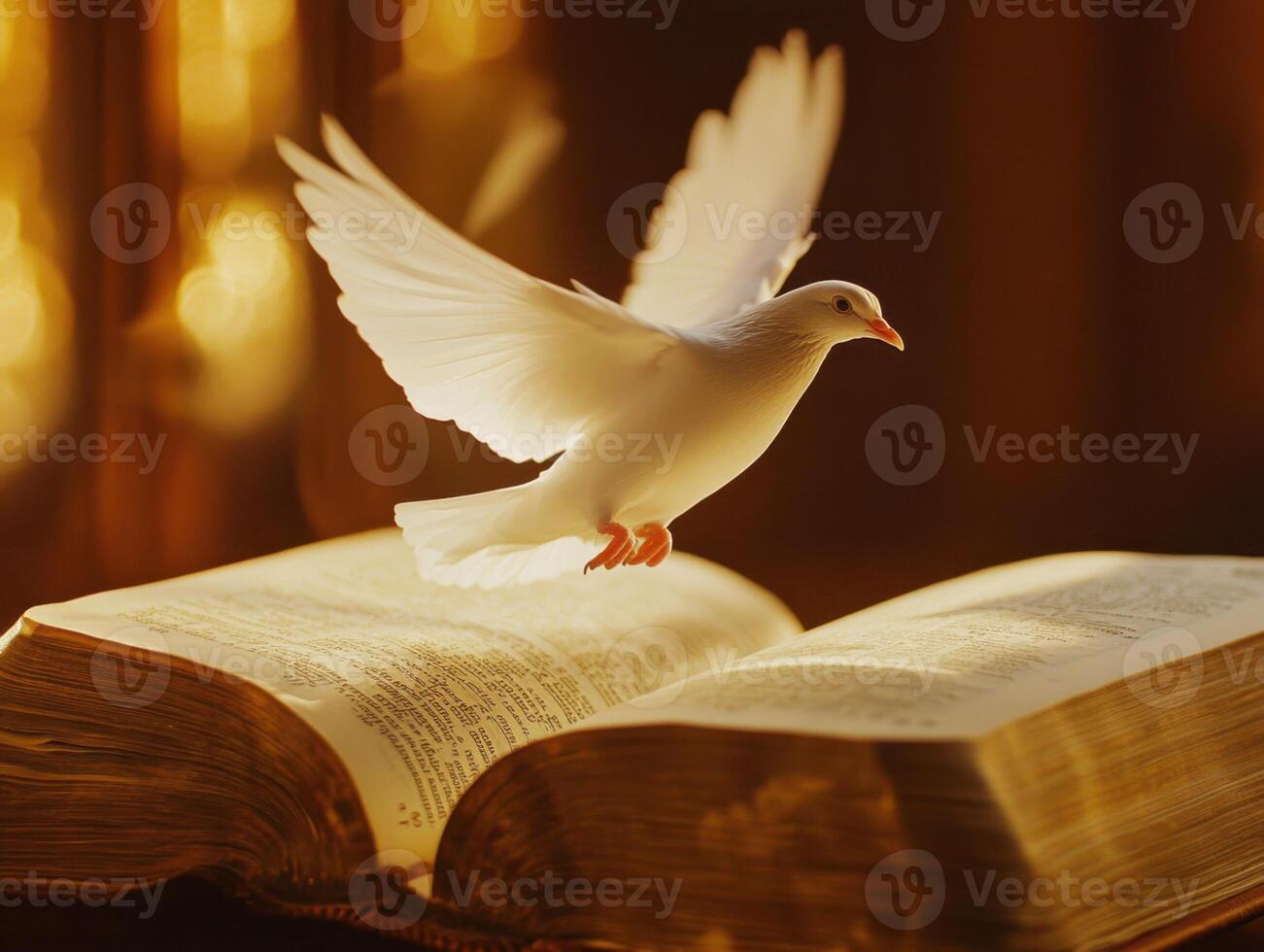White dove flying above open book with golden light illuminating the pages in a serene setting photo