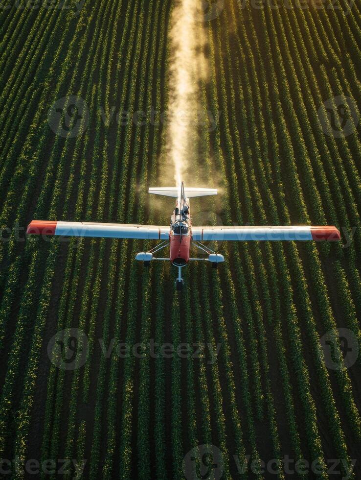 Aerial view of a crop-dusting aircraft flying over green fields at sunset photo