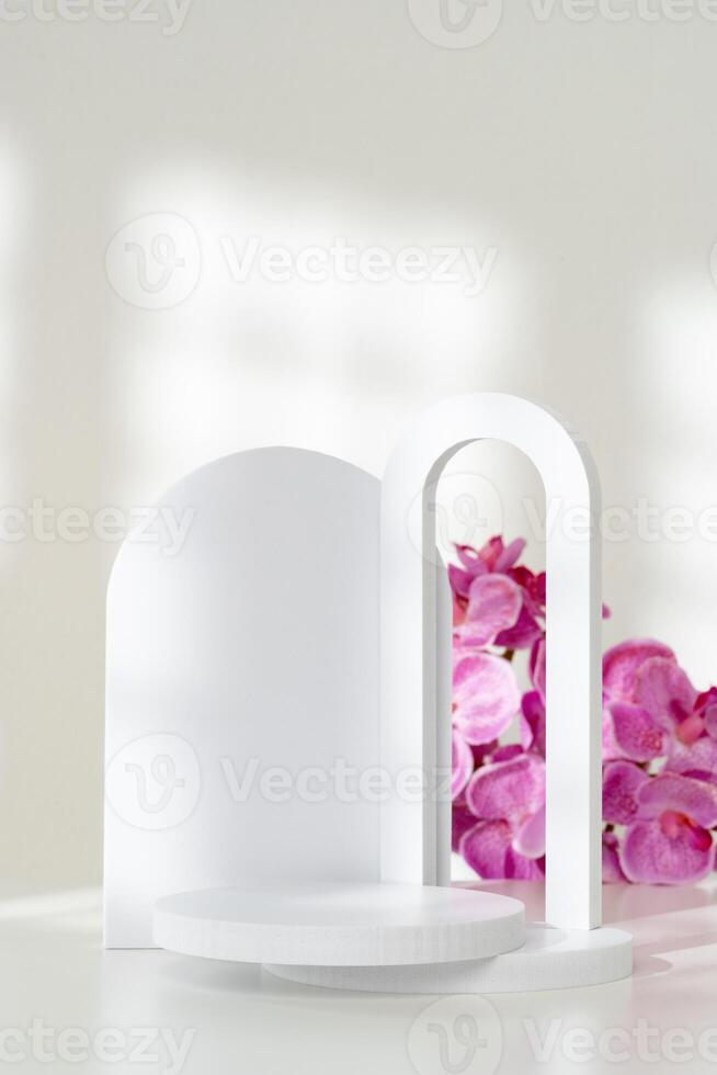 Delicate Blossoms Arranged near a Blank Circular Surface on a Soft Background photo