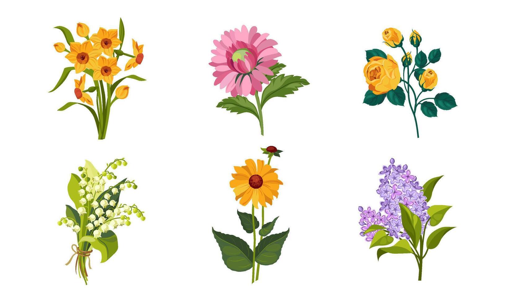 Beautiful Flowers Set, Daffodil, Lily of the Valley, Lilac, Dahlia, Illustration vector