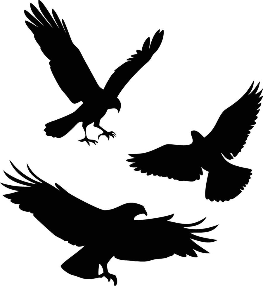 Different birds flying in their natural environment vector