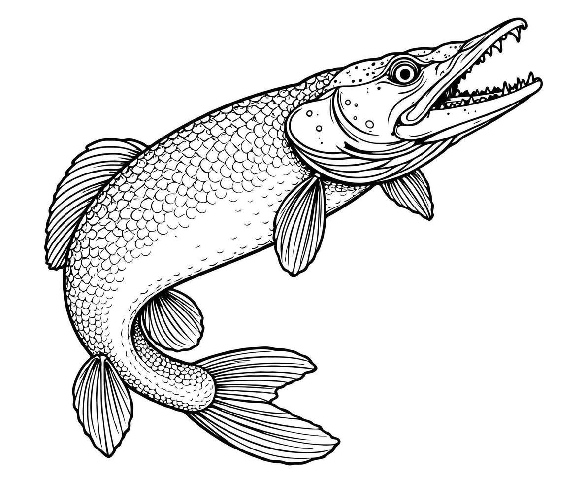 Pike Animal Coloring Page Color Illustration vector