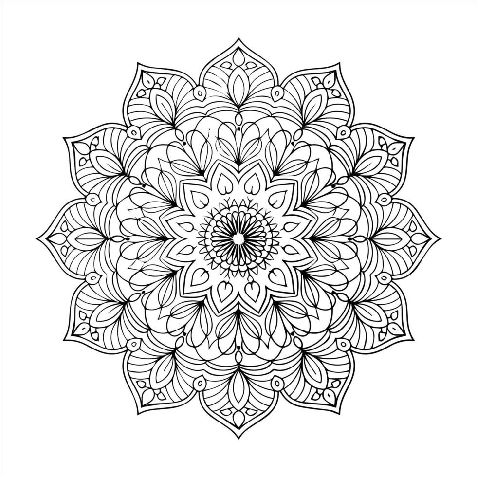 Ethnic elegant mandala design decorative element background vector