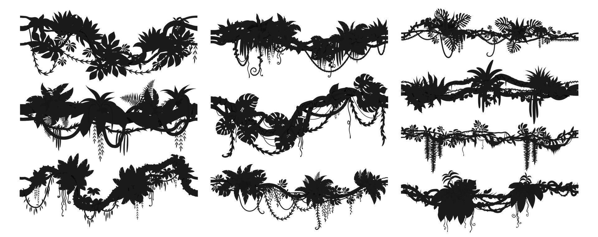 Tropical jungle forest liana silhouettes vector