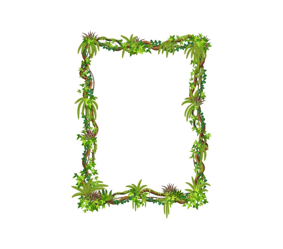 Jungle liana frame of tropical ivy or vine leaves vector