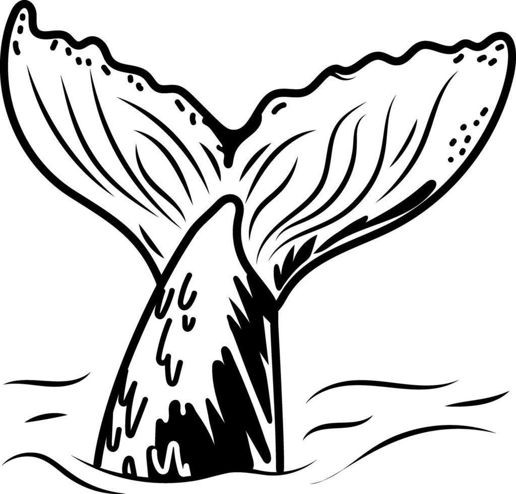 A hand drawn icon of whale tail vector