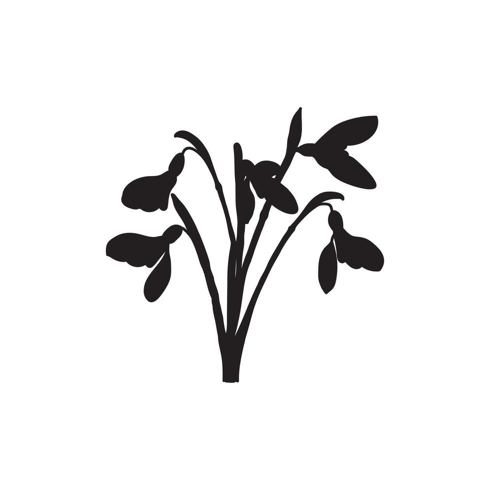 Black silhouette of snowdrop flowers with drooping petals and stems, displayed on a white background in minimalist style. vector