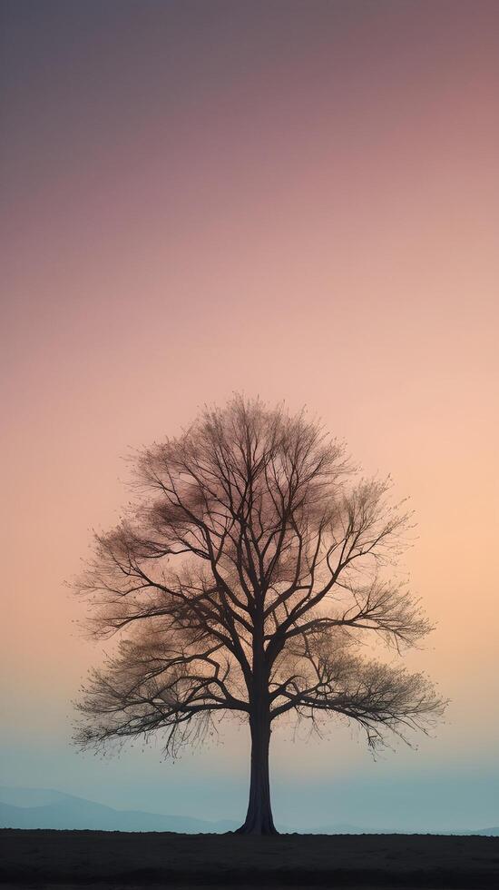 A serene, simple scene featuring a lone tree silhouette against a pastel gradient sky, with ample space left for text placement. photo