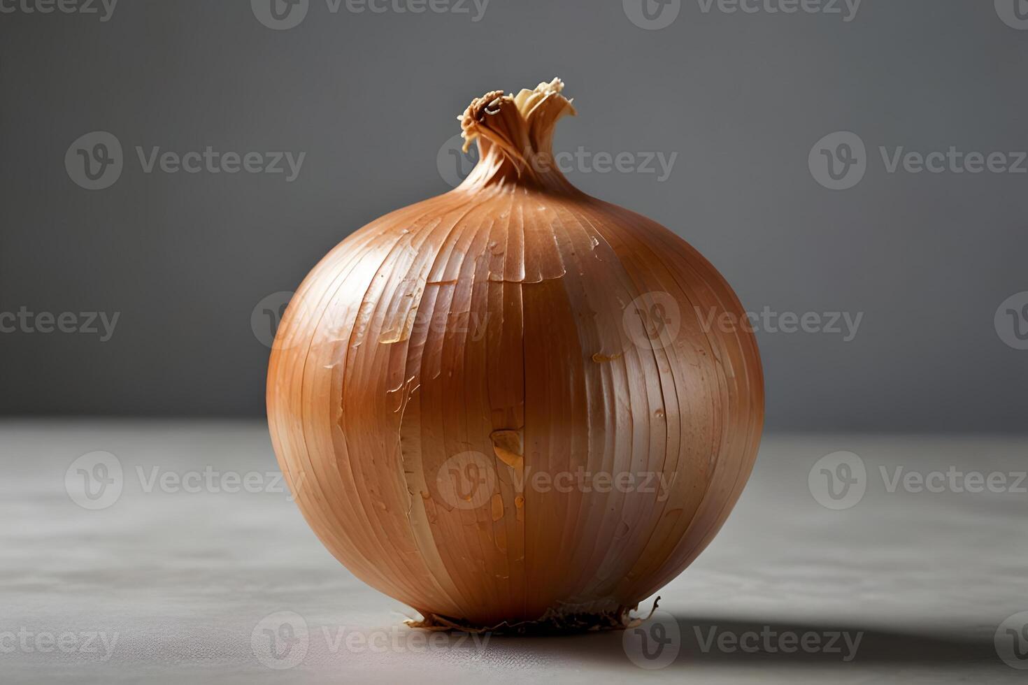 Single Onion Isolated photo