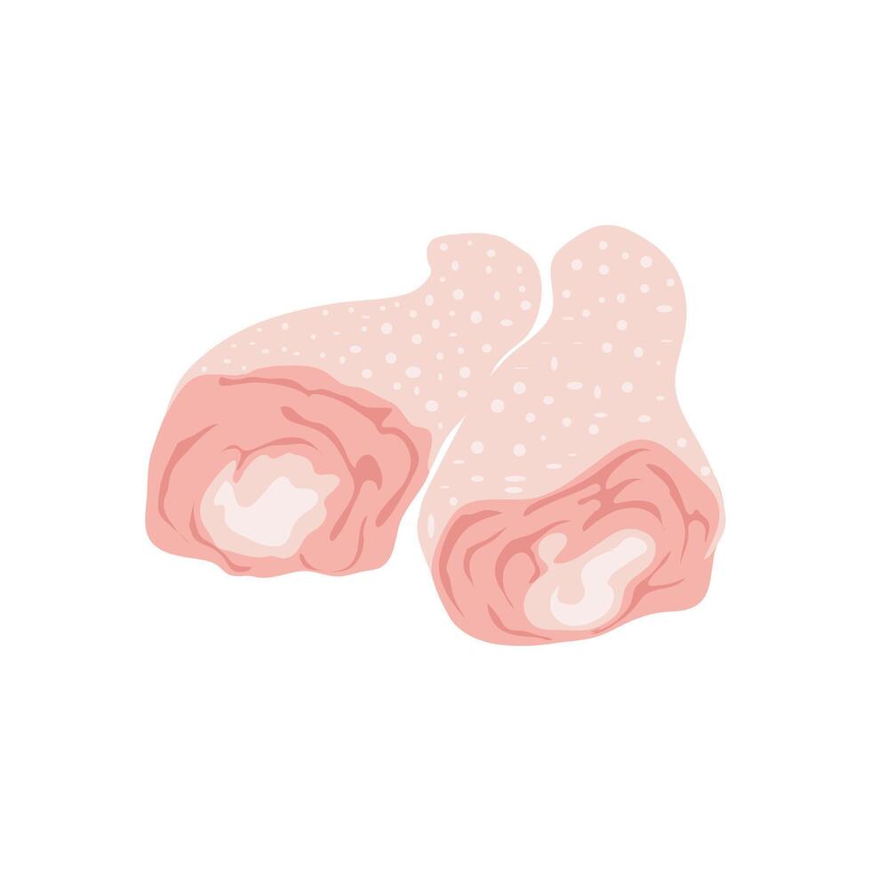 Raw chicken legs in flat design. Fresh uncooked poultry meat, butchery menu. illustration isolated. vector