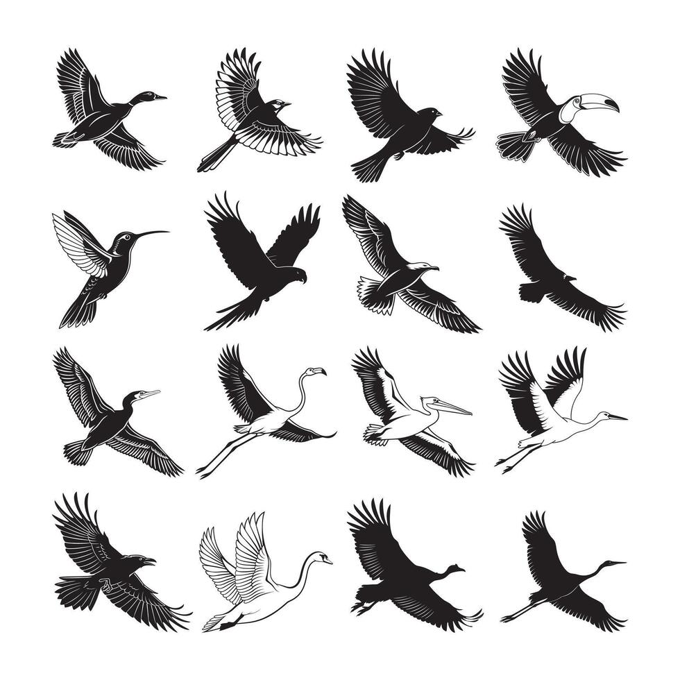 Black and white birds flying in the sky vector