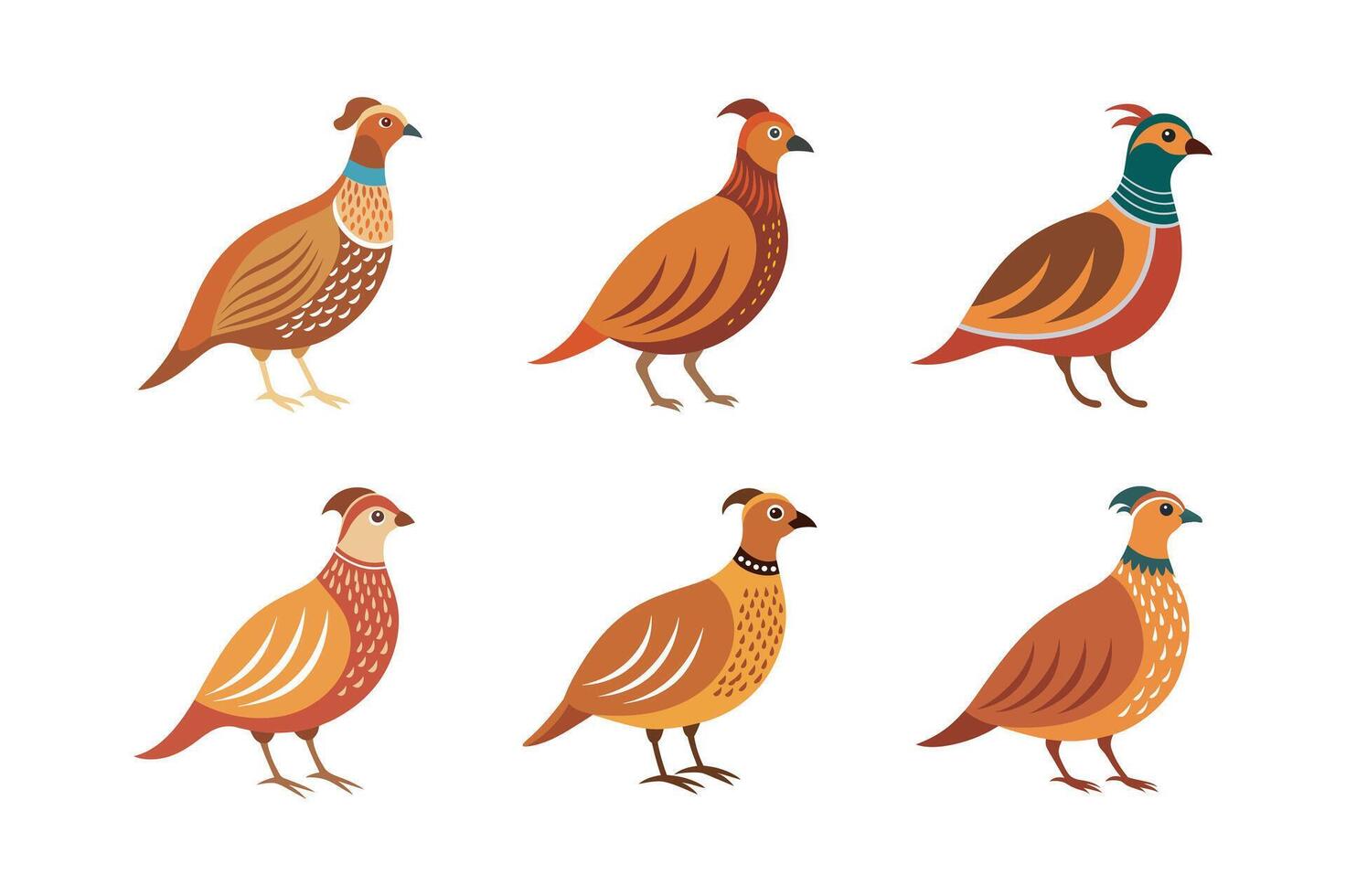 Set of pheasant birds illustration vector