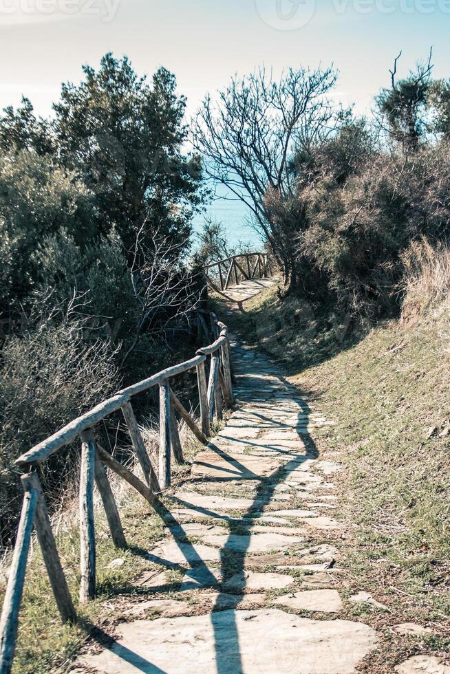 Stone Pathway with Wooden Fence and Sparse Vegetation Outdoors photo