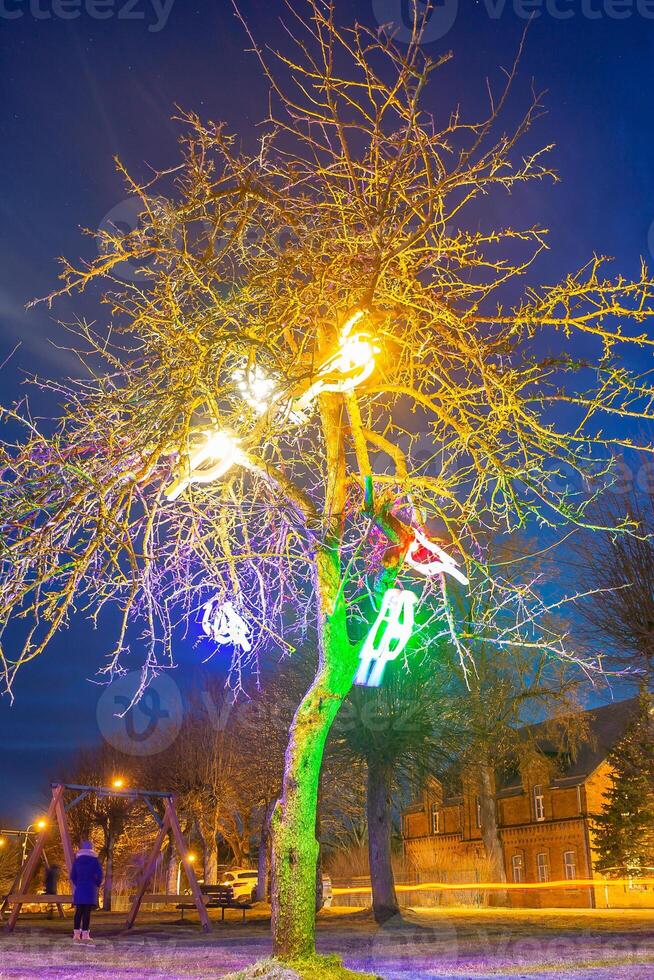 Leafless Tree with Multicolored Lights in Evening Setting photo