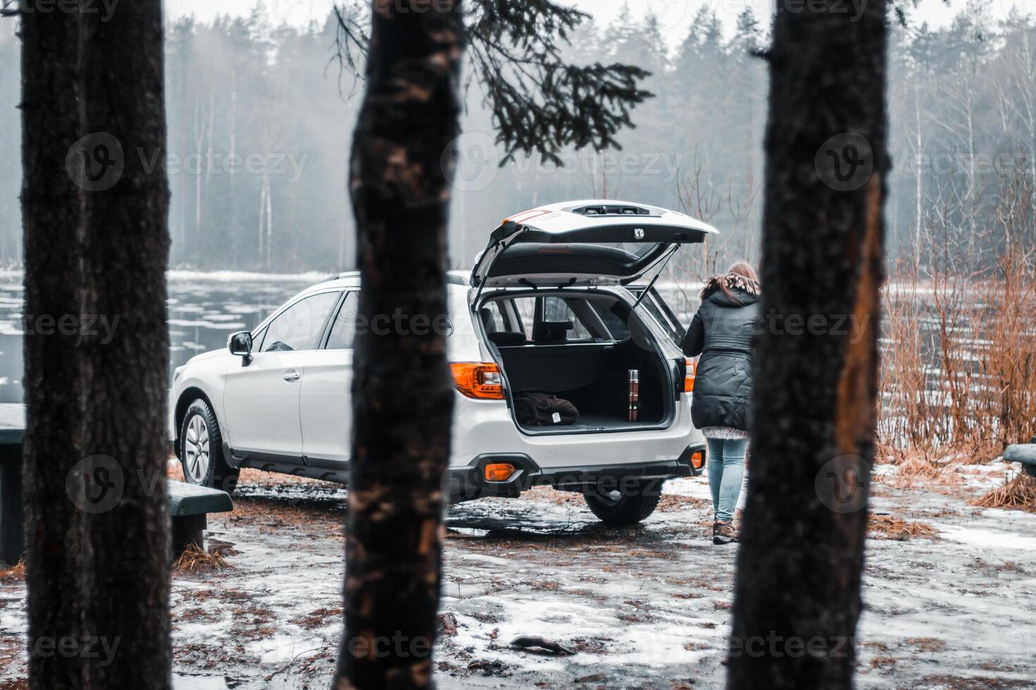White SUV Parked Near Partially Frozen Water in a Wintry Forest photo