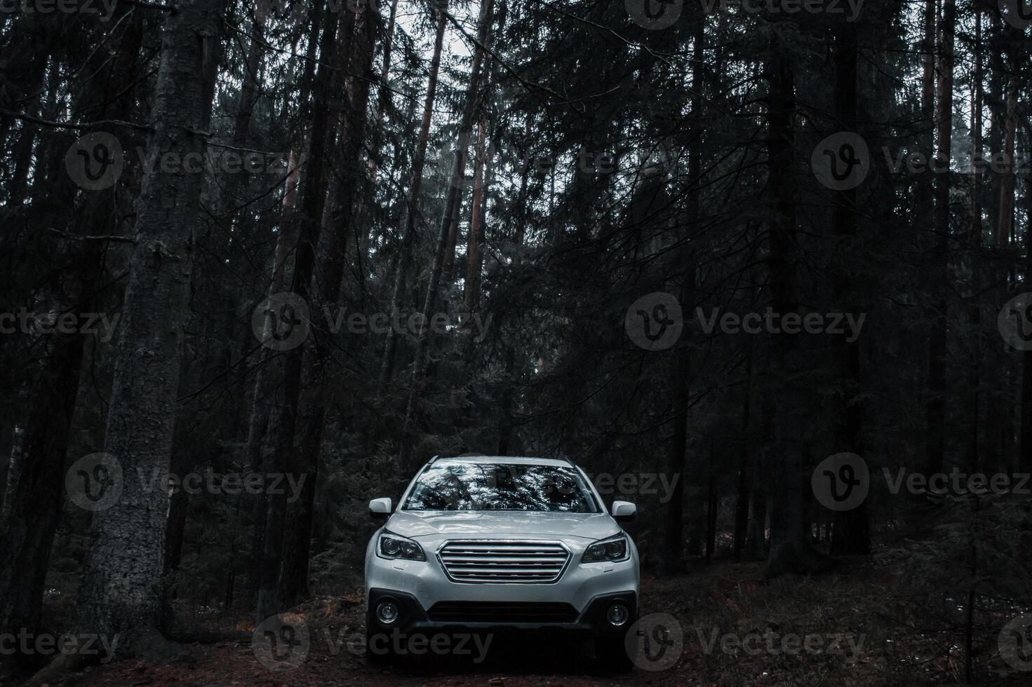 White SUV on Dirt Path Amid Tall Trees in a Dense Forest photo