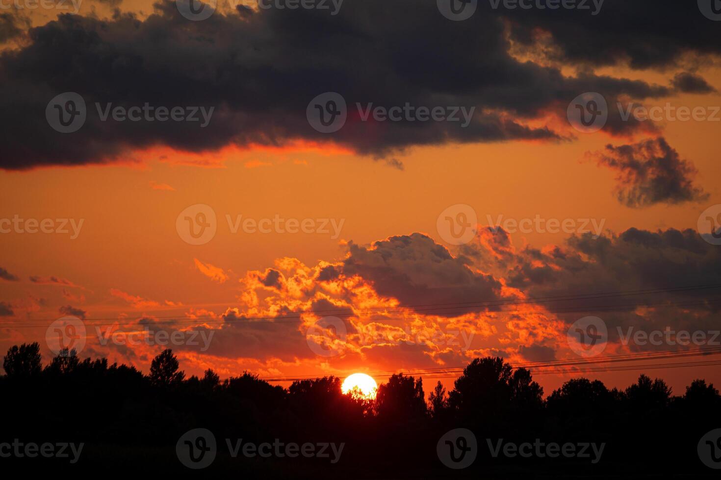 Vibrant Sunset with Silhouetted Trees and Dramatic Clouds photo