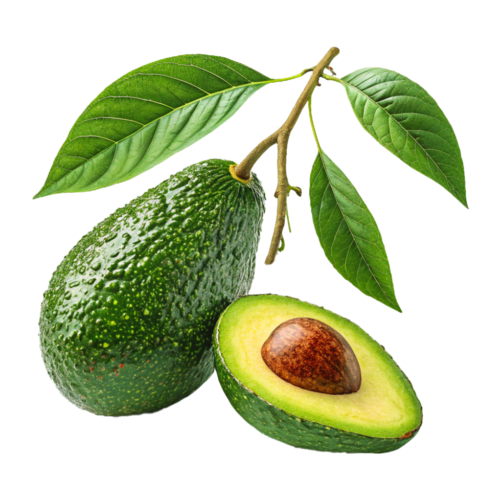 Photorealistic Avocado Whole and Halved with Glossy Leaves in High Resolution Food Photography png