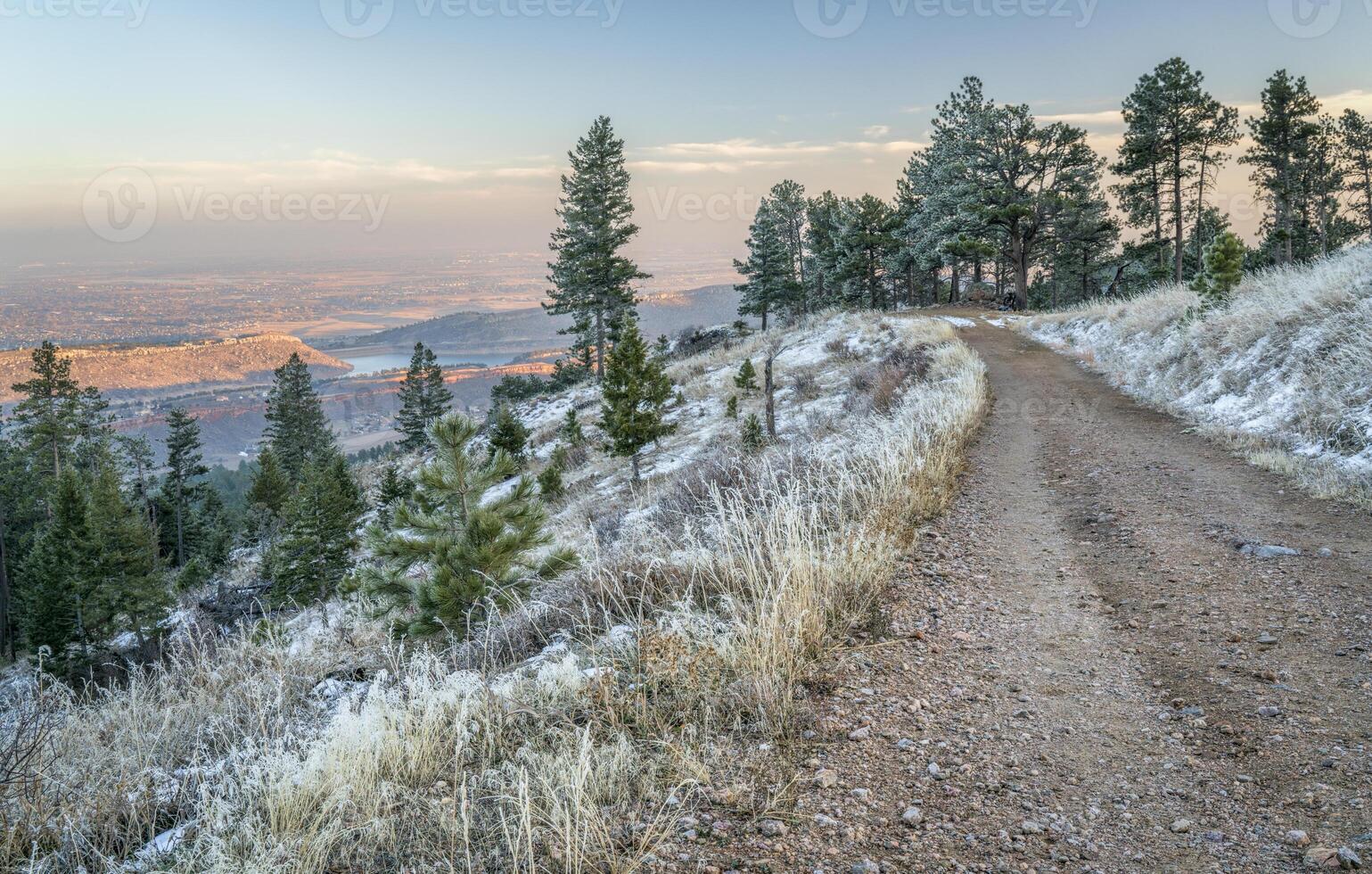 mountain forest road with pine trees covered by frost photo