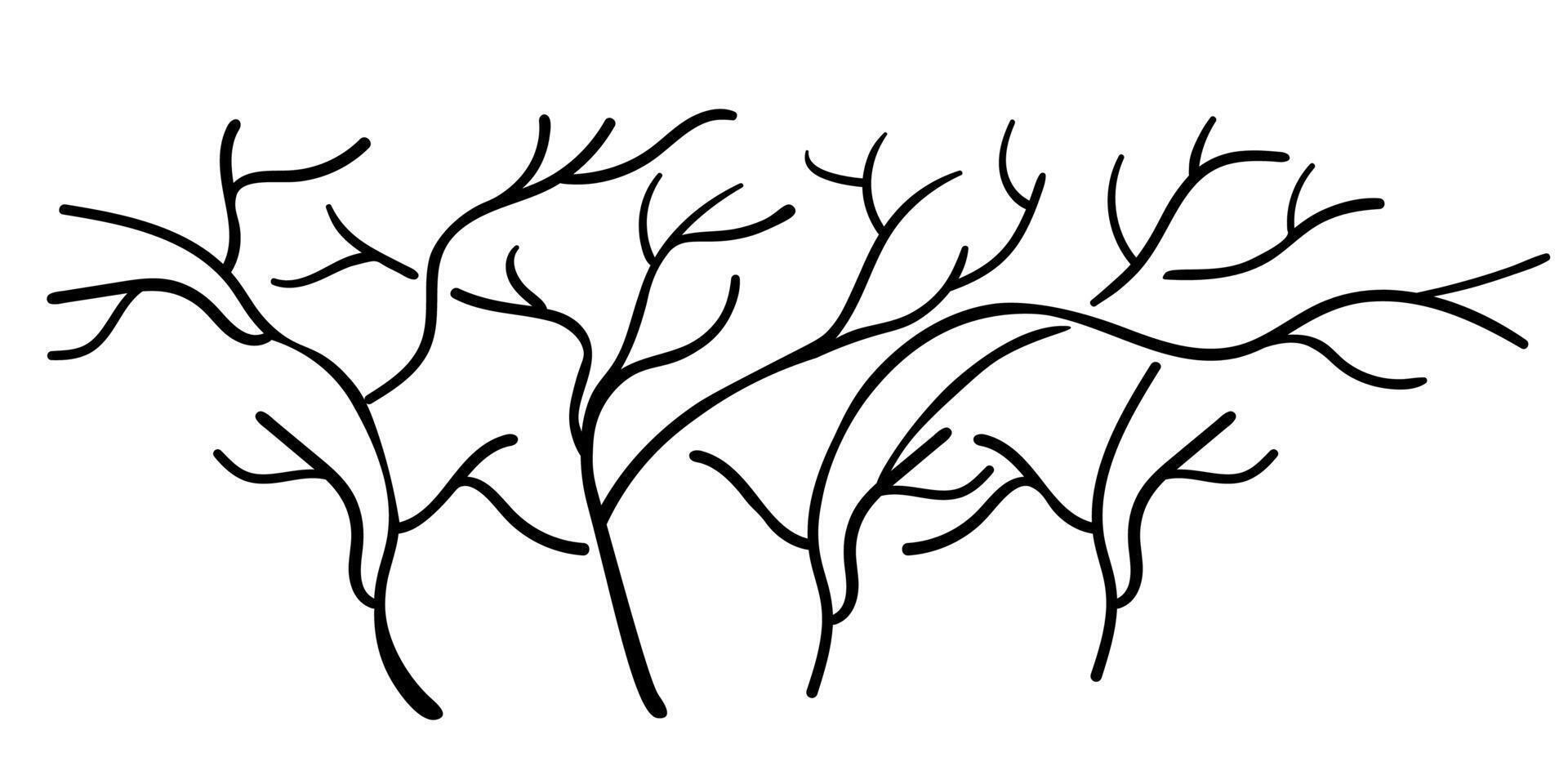 black tree branches set vector