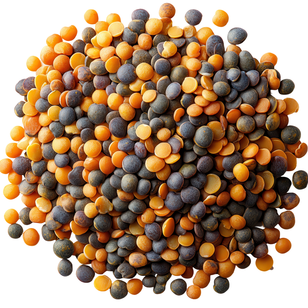 Colorful assortment of lentils on a white background suitable for culinary and nutritional uses isolated on transparent background png
