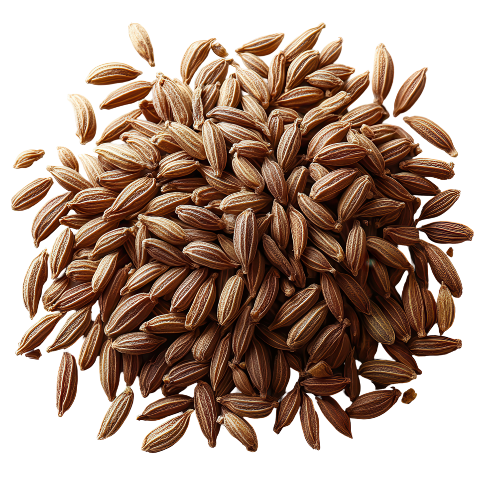 Cumin seeds arranged in a neat pile showcasing their earthy tones and texture for culinary inspiration isolated on transparent background png