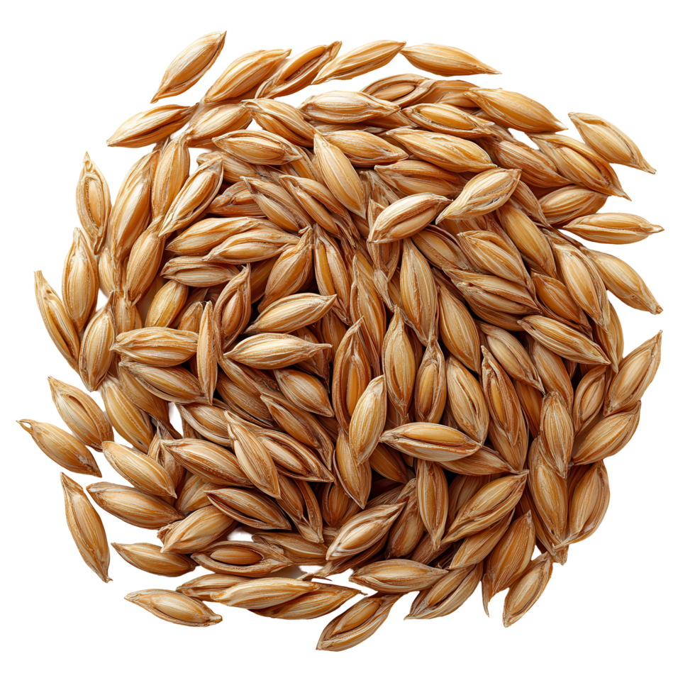 Seeds displayed on a white background showcasing natural color and texture for agricultural use and food production isolated on transparent background png