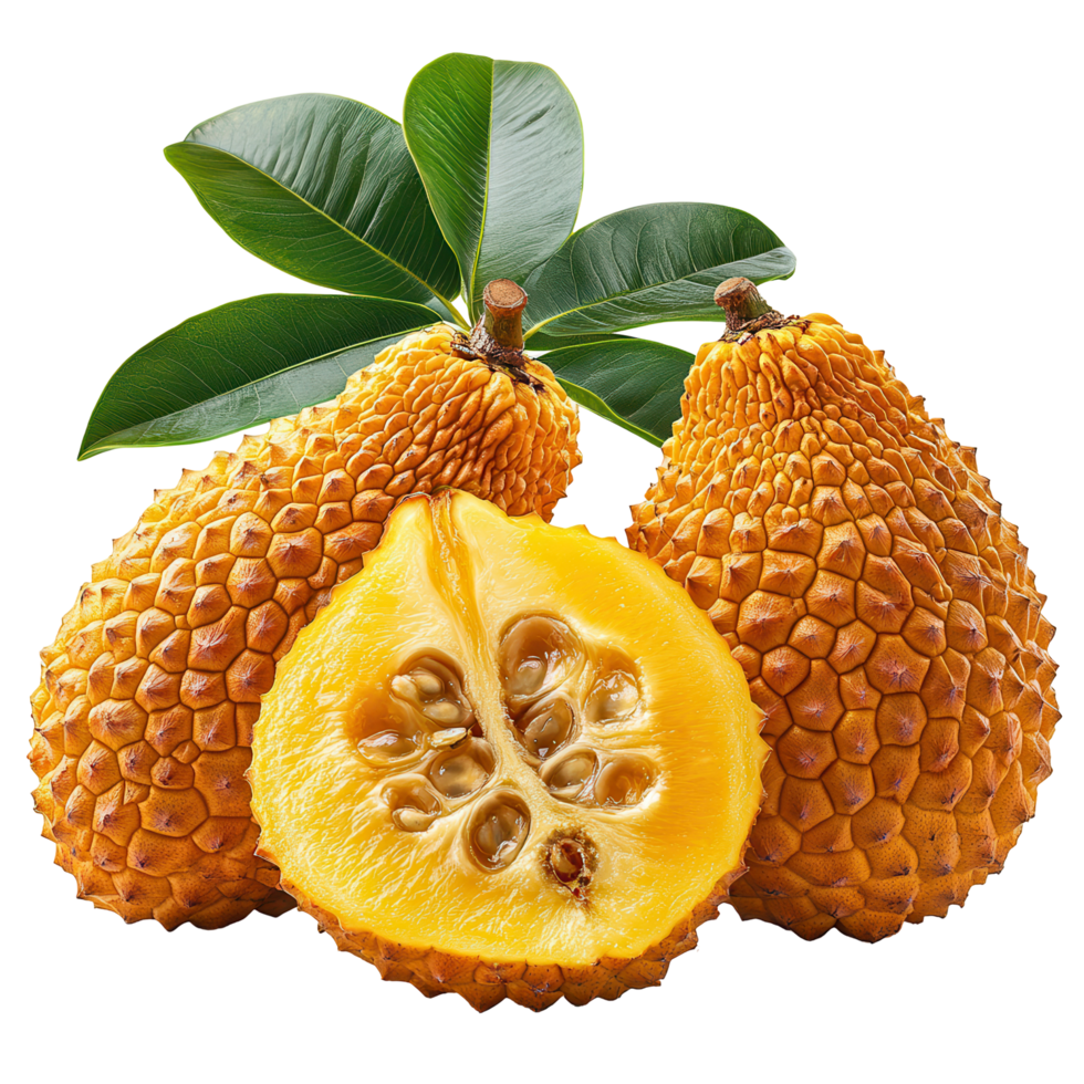Tropical fruit selection showcases ripe and fresh sapodilla with green leaves on a white background isolated on transparent background png