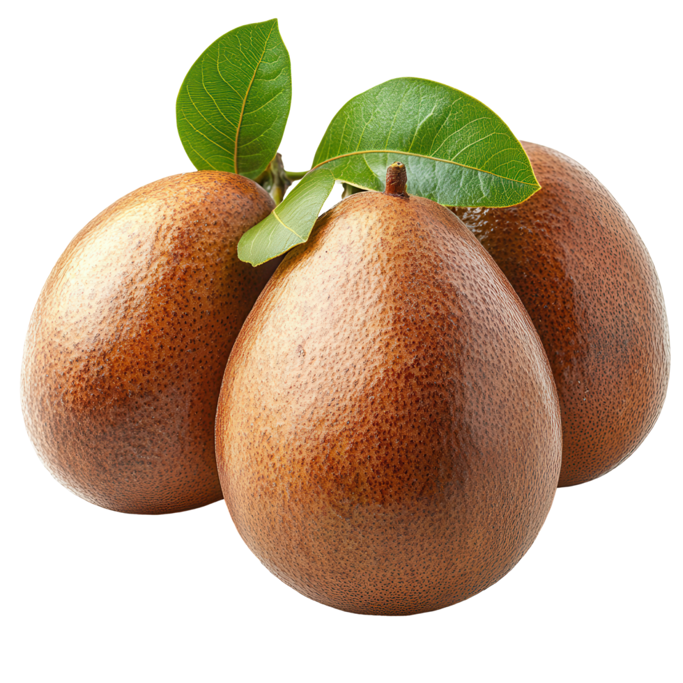Fresh sapodilla fruits arranged together with green leaves on a white background, showcasing their rich texture and color isolated on transparent background png