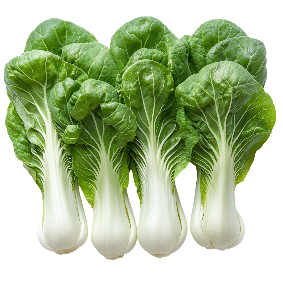 Fresh bunch of bok choy ready for preparation in a vibrant kitchen setting showcasing healthy cooking options isolated on transparent background png