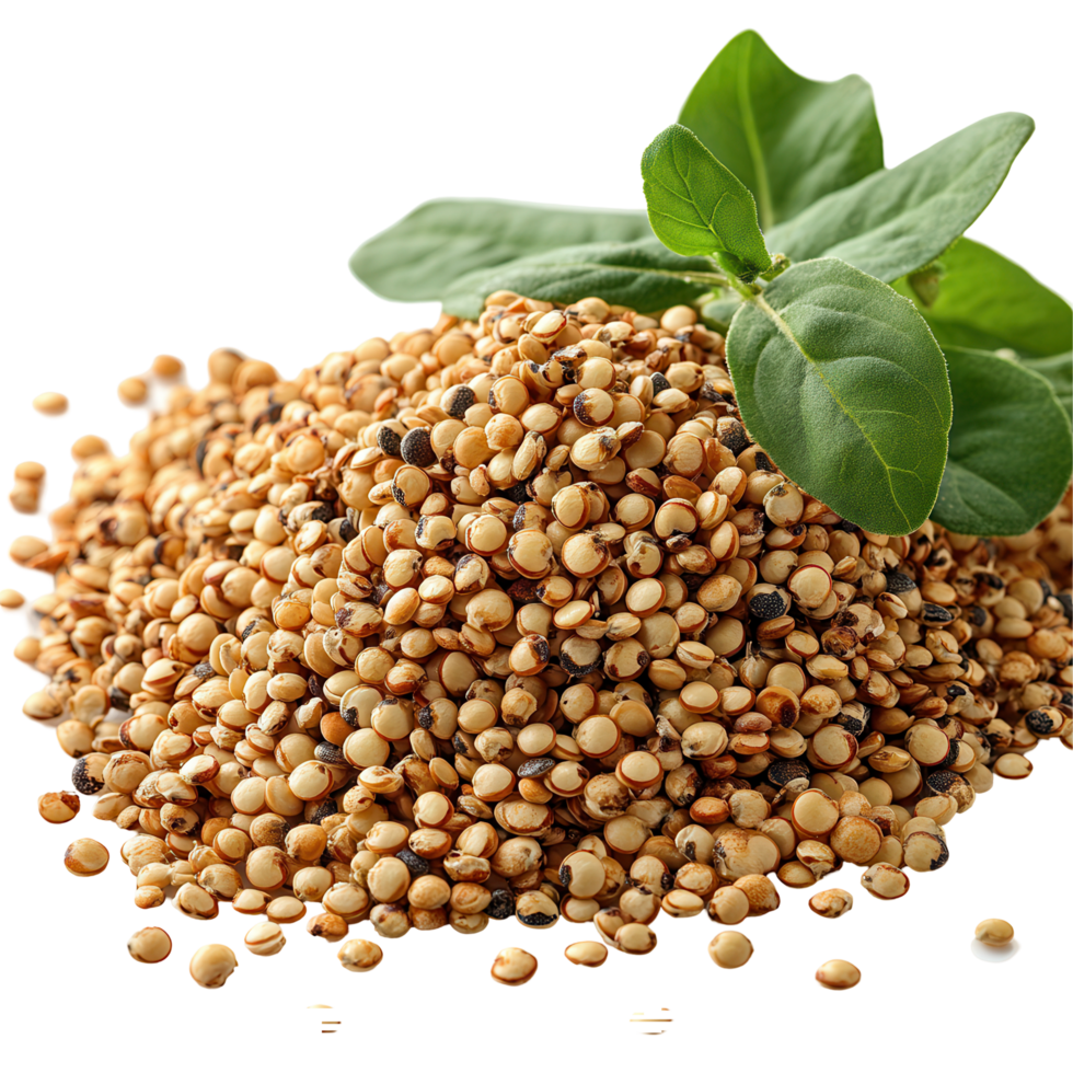 Pile of brown quinoa seeds surrounded by fresh green leaves on a white background isolated on transparent background png