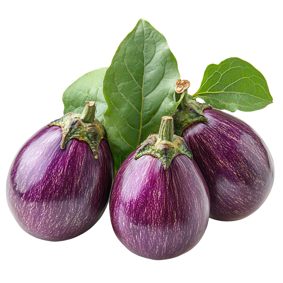 Fresh purple eggplants with green leaves on a white background ready for cooking or gardening isolated on transparent background png