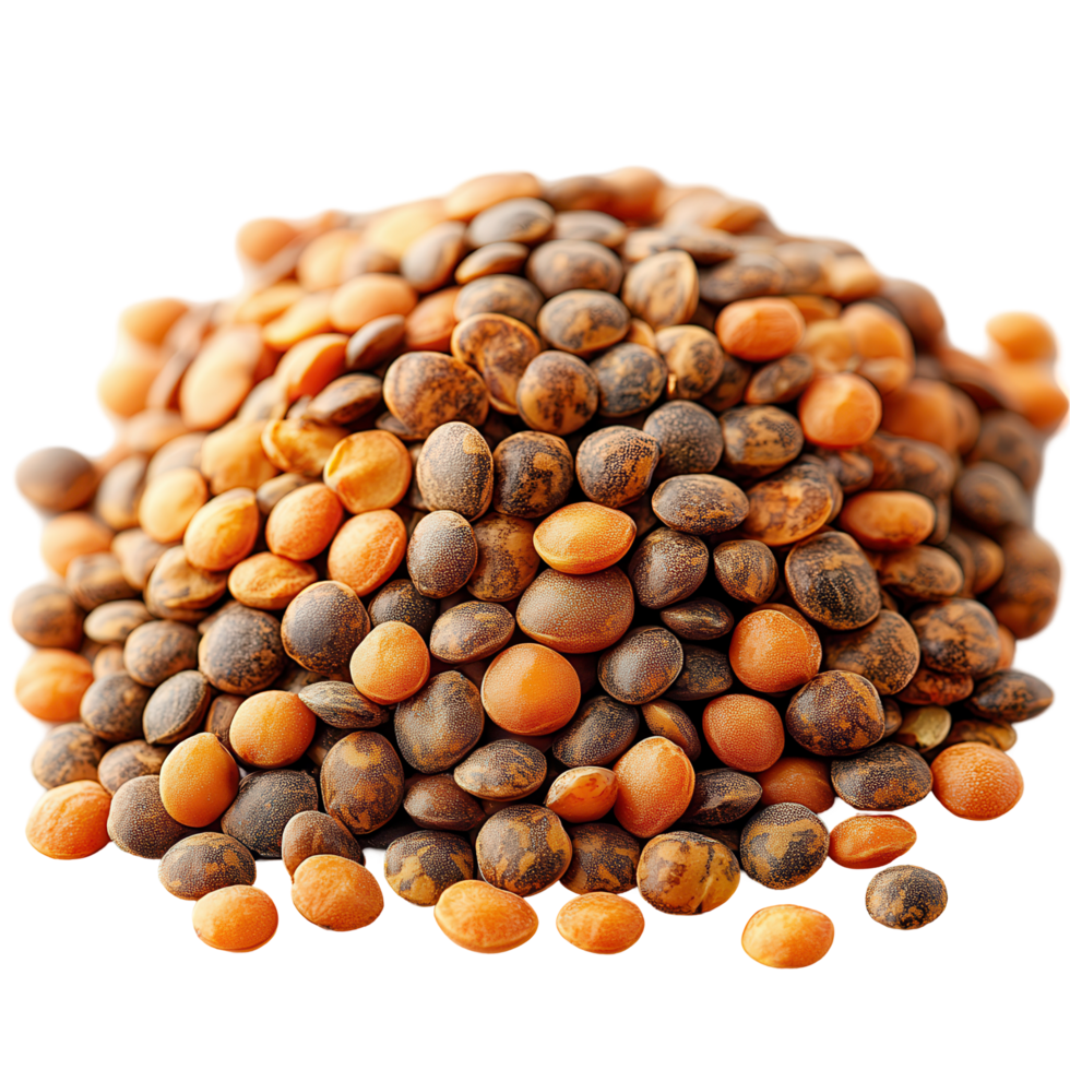 Variety of lentils piled together, showcasing different colors and textures in a close-up view of dry legumes isolated on transparent background png