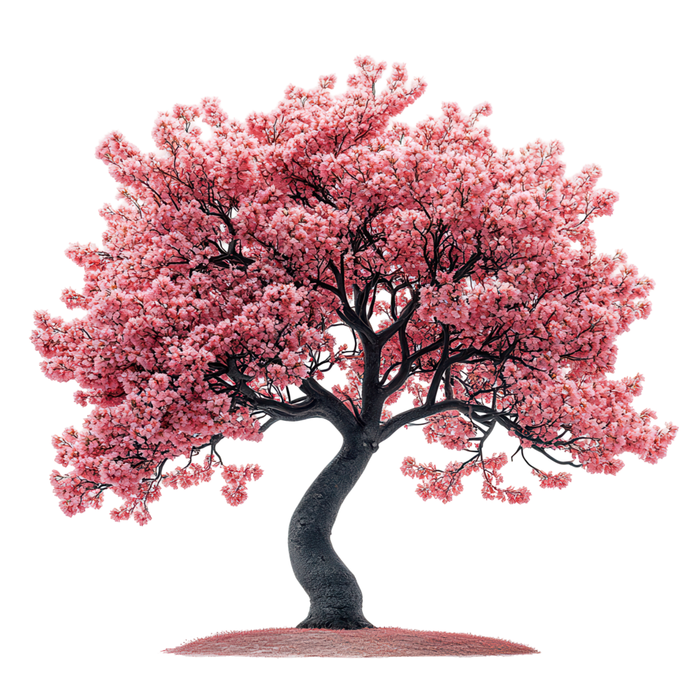 Beautiful pink flowering tree stands majestically in a serene environment showcasing nature's vibrant colors isolated on transparent background png