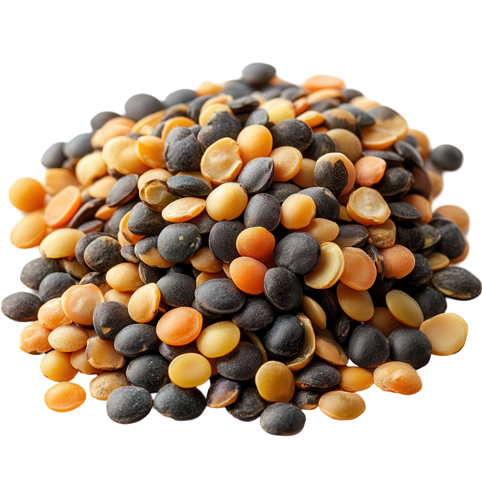 Diverse assortment of lentils displayed on a white background showcasing various colors and sizes in a bright kitchen setting isolated on transparent background png